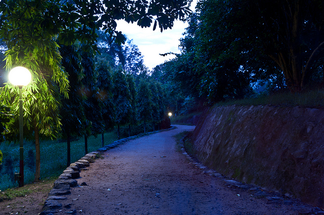 A dimly lit path at dusk lined with trees and a stone retaining wall, illuminated by a glowing streetlamp